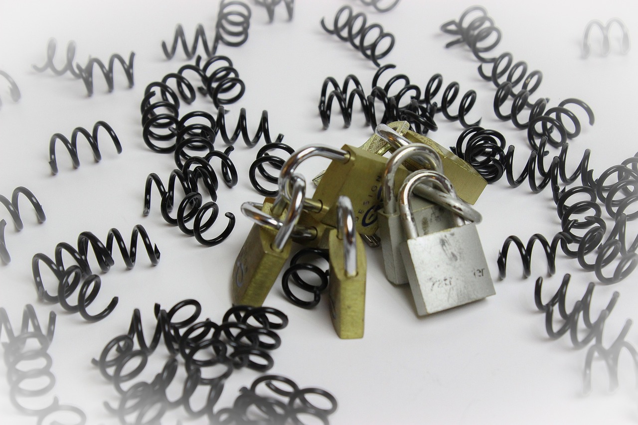 The Invisible Hand of Human Behavior in Safety Regulations